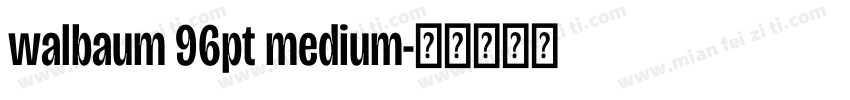 walbaum 96pt medium字体转换